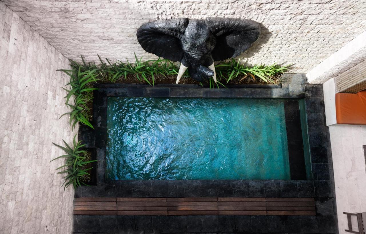Colibry Villa Sanur Buitenkant foto